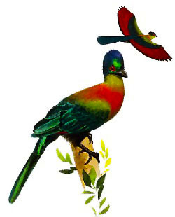 bird_painting_purple_crested_lourie