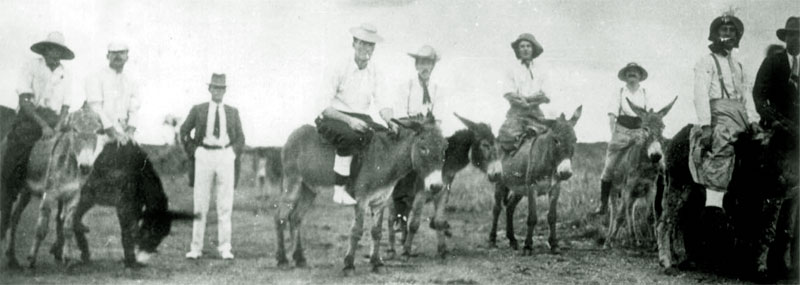 donkey race 1885