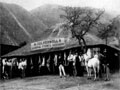 butchery and store page link