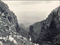 rimers creek page link